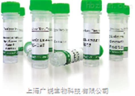 小鼠胎盘生长因子PLGF抗体-上海广锐生物科技有限公司