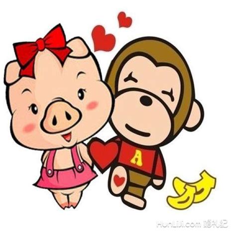 猴和猪相配婚姻如何【婚礼纪】