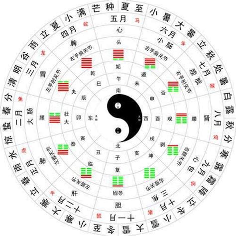 天干地支图图片