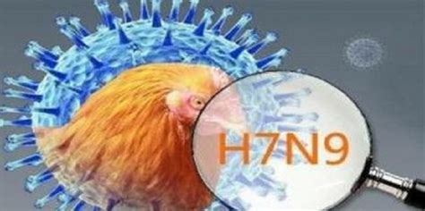 关于人感染H7N9禽流感，你要知道这些（一）--姜堰日报