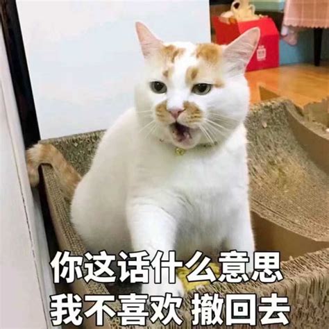 曼达拉娃 的图像结果