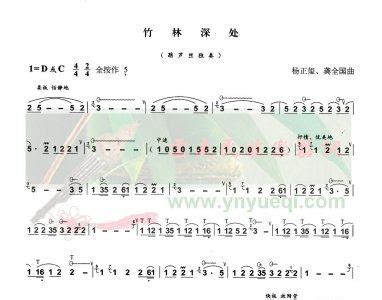 葫芦丝教学曲集：心恋葫芦丝谱_器乐乐谱_中国曲谱网