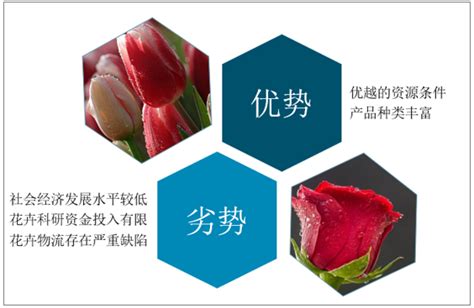 2020年中国鲜花市场分析报告-市场运营态势与未来动向研究_观研报告网