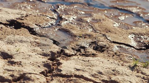 干涸的河床高清图片下载-正版图片501303011-摄图网