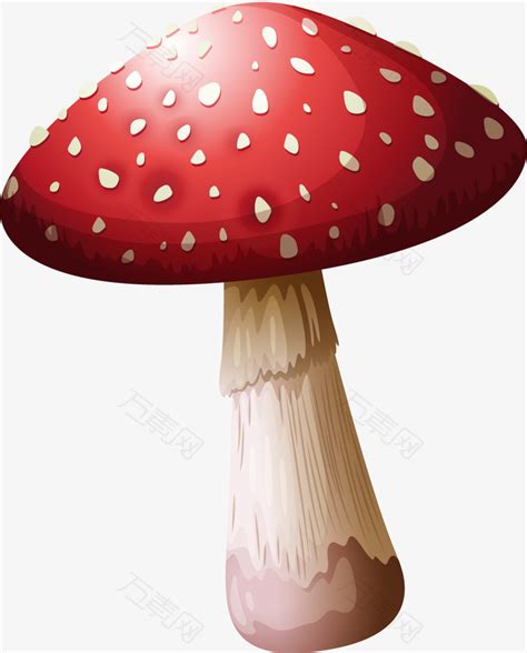蘑菇卡通图片