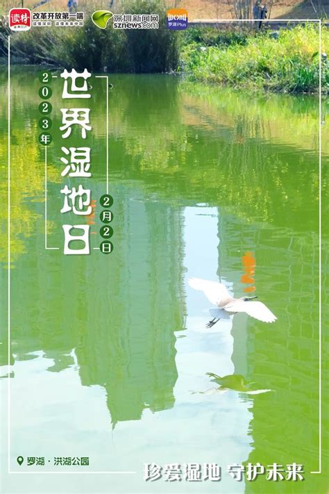 2023世界湿地日丨河畅、水清、岸绿、景美 解锁罗湖湿地公园的四个关键词__财经头条