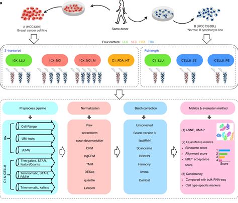 单细胞 RNA 测序 服务_生物器材网