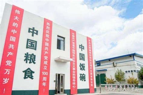 中储粮上海直属库10万吨改扩建仓容工程进入冲刺阶段