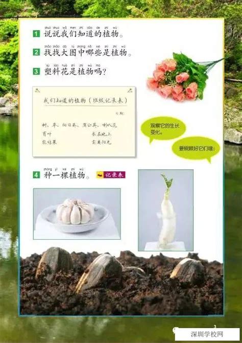 《1.我们知道的植物》教科版小学一年级科学上册2017年审定课本_北师大版小学课本