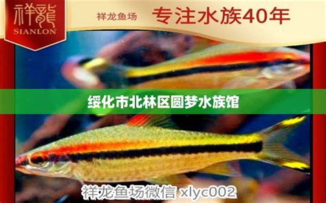 淡水鱼涨价了吗？带你到南京众彩水产市场一探究竟 - 价格行情 - 鄱阳湖水产网-江西特种水产养殖网