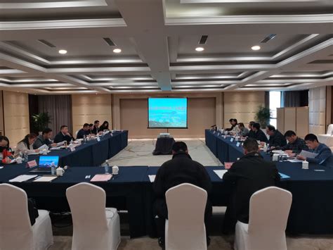 湖北省商务厅和武汉市商务局领导与咨询协会会谈