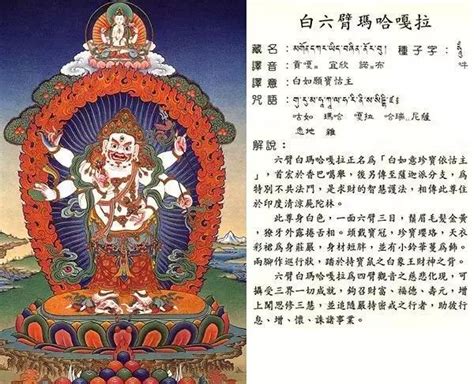 梵林文化-最具威力的财神六臂白玛哈嘎拉__凤凰网