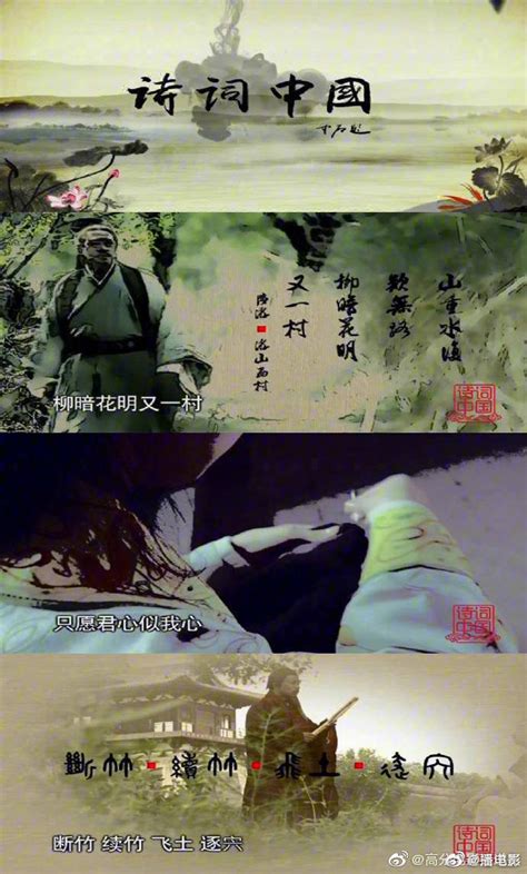 “一棵呀小白杨……”上海大学学子用镜头记录真实动人的兵团往事-教育频道-东方网
