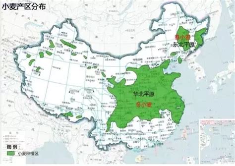中国粮食种植企业分布图_我国_水稻_大豆