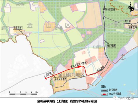 最新进展，市域铁路金山至平湖线（上海段）选线专项规划公示_进行_大道_线路