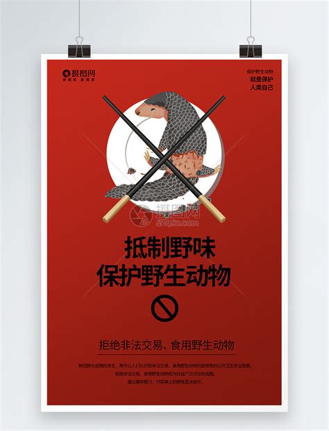 拒绝食用野生动物 公益海报|平面|海报|小马宝莉m - 原创作品 - 站酷 (ZCOOL)