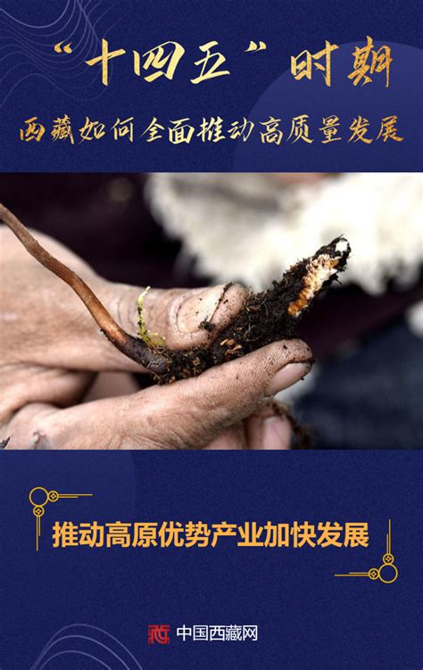 海报|“十四五”时期西藏如何全面推动高质量发展_新华报业网