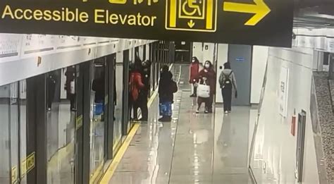 上海女子被地铁屏蔽门夹住身亡，该无人驾驶线路开通刚满1年-大河新闻