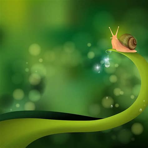 蜗牛绿色树叶化妆品广告矢量背景背景图片素材下载_图片编号qoneoled-免抠素材网