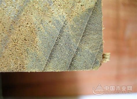 黑心木莲花纹和木材知识-中国木业网