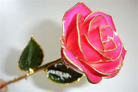 金玫瑰多少钱 有哪些种类 - 中国婚博会官网