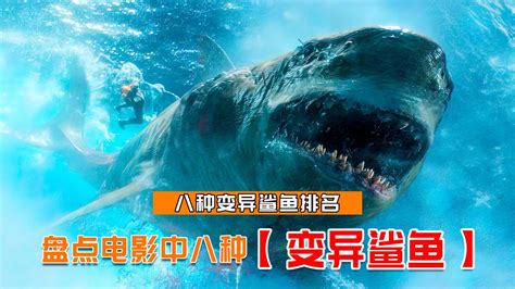 #鲨鱼#电影剪辑#探索海底_腾讯视频