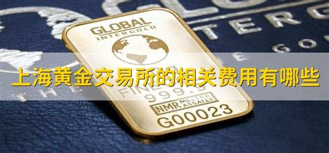 上海黄金交易所开户流程有哪些-黄金视频-金投网