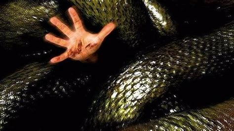女人梦见蛇缠身是什么意思预兆 - 女人梦见蛇缠身是什么预兆 - 原版周公解梦大全