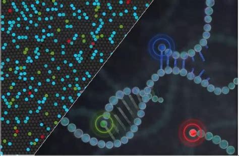 基因检测的作用与筛查意义_遗传性癌症基因检测_盛景基因