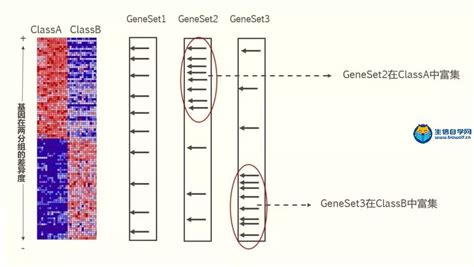 微生物组-宏基因组分析(线上/线下同时开课，2021.1)-CSDN博客