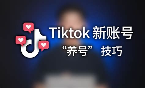 TikTok养号教程攻略：9个秘诀打造流量账号！-TKTOC运营导航