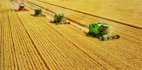 河南省2020年“三夏”麦收进度超51.5%_农机通讯社