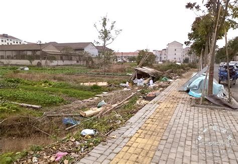 今日直击——石璜镇一道路边垃圾乱堆环境堪忧-嵊州新闻网
