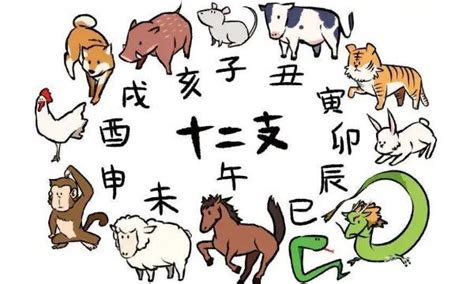 十二生肖排序表图图片 十二生肖排序表图图片
