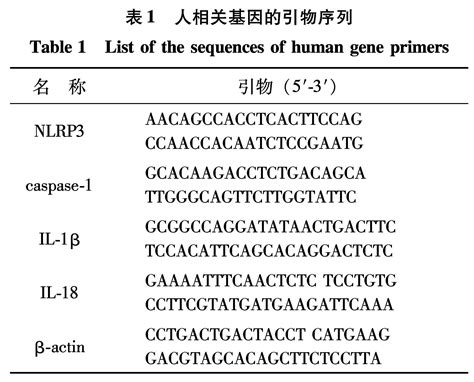 基因家族特征分析 - 染色体定位分析_tbtools染色体定位-CSDN博客