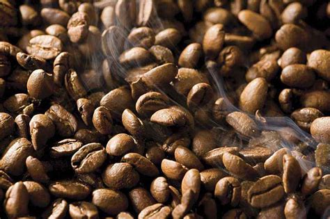 印尼曼特宁咖啡豆故事 分级特点 明显巧克力风味特点 手冲怎么喝 中国咖啡网