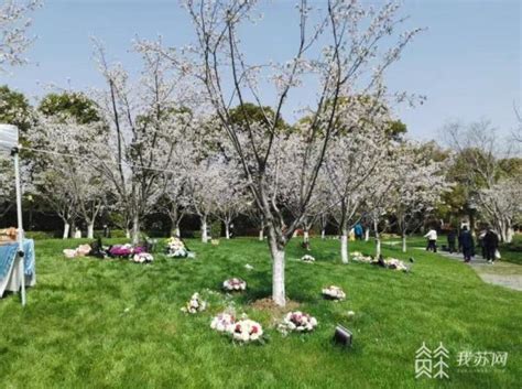 新版《江苏省公墓管理办法》4月1日起施行 最新解读来了