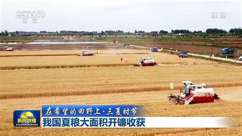 麦收季 金满地 伊宁市农户抢收小麦 -天山网 - 新疆新闻门户