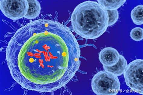 Science大揭秘：T细胞如何感知、应对危险？_搜狐健康_搜狐网