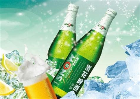 雪花啤酒（Snowbeer）10°度纯生概念系列500mL（12听装）【价格 品牌 图片 评论】-酒仙网