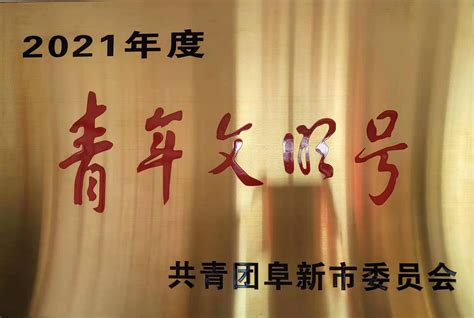 太平区发展和改革局荣获“2021年阜新市助力优化营商环境建设类青年文明号”称号