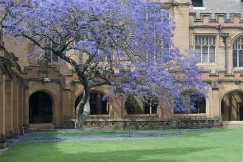 悉尼大学建筑学院(澳大利亚) Architecture, Design and Planning, The University of ...