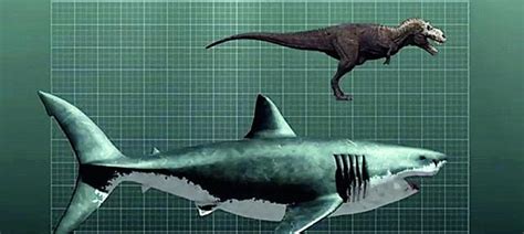 看6600万年前的史前巨兽 是如何生存？#纪录片
