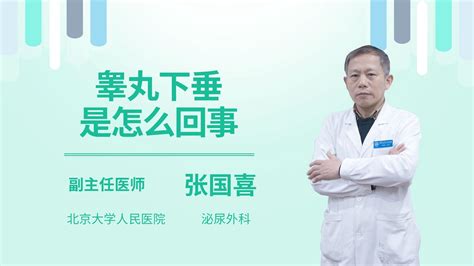 睾丸下垂图片