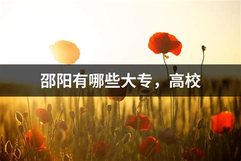 邵阳市14场庆祝新中国成立70周年新闻发布会传递邵阳人民的获得感幸福感安全感 - 市州精选 - 湖南在线 - 华声在线