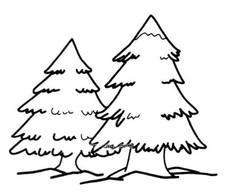 松树简笔画图片 简单松树的画法图解教程 - 巧巧简笔画