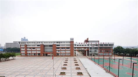 广州市教育局网站-南沙区南沙小学：一校两区办学 打造“山海文化•仁智教育” 实现“百年的美丽”
