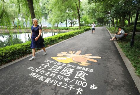 滨湖公园健康步道已投入使用_图片新闻_常德资讯_常德市人民政府门户网站