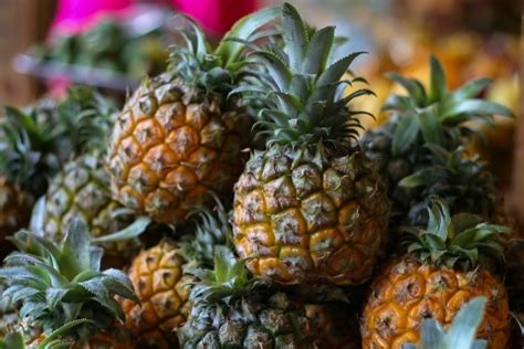 2022香水菠萝价格多少钱一斤？ - 惠农网