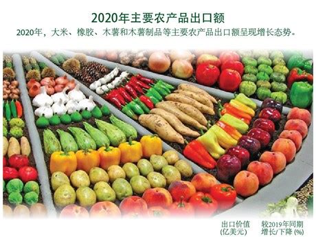 图表新闻：2020年越南主要农产品出口额呈现增长态势 | 经济 | Vietnam+ (VietnamPlus)